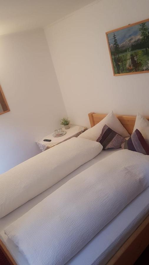 Pensiunea Casa Munteanu Rasnov エクステリア 写真